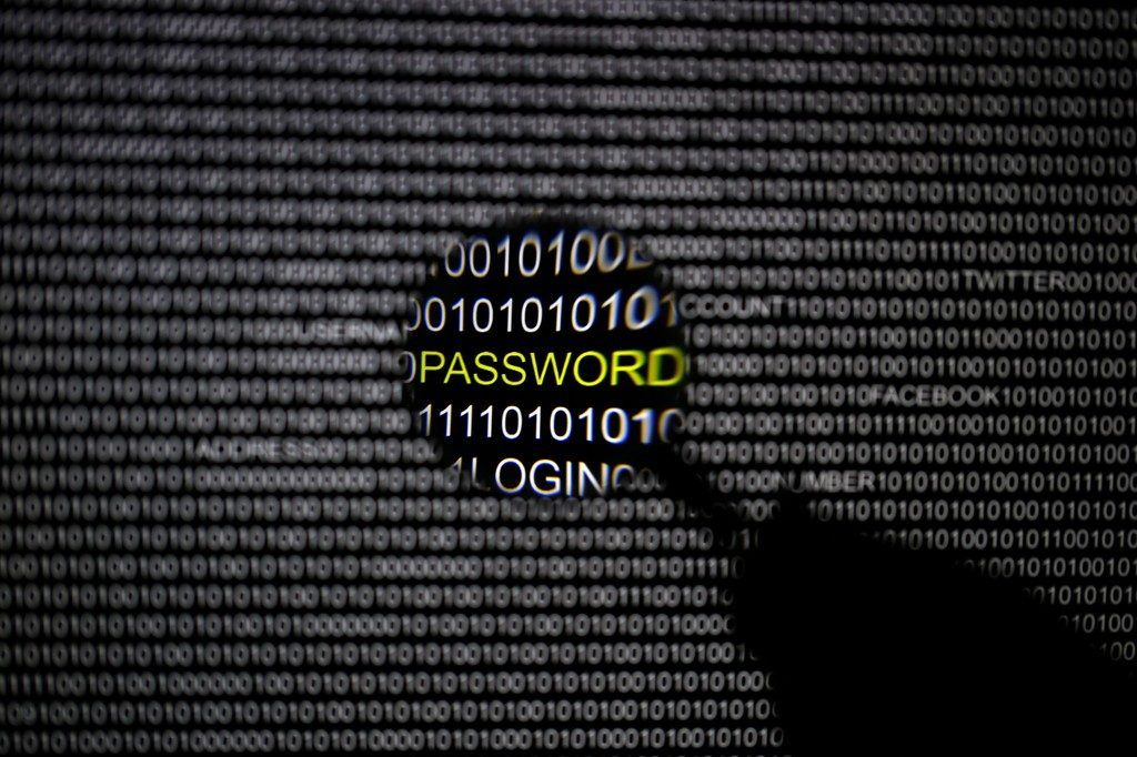 Großeinsatz gegen die Verbrechen im Internet