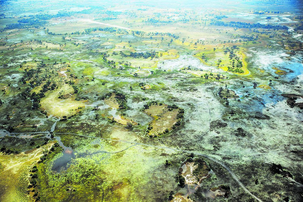Im Galopp durch’s Okavango Delta