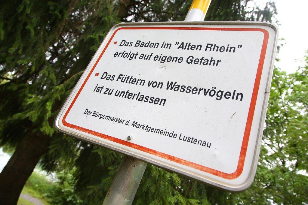 Wildvögelkot an Badeseen vermiest vielen Erfrischungssuchenden das Schwimmen.