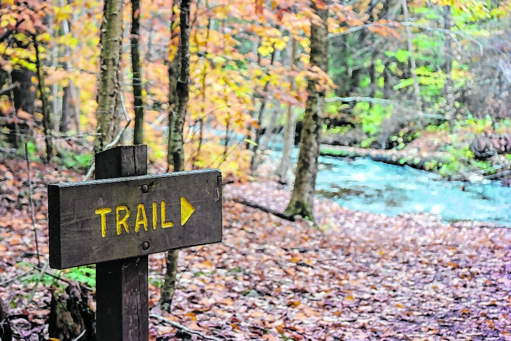Appalachian Trail in Georgia
