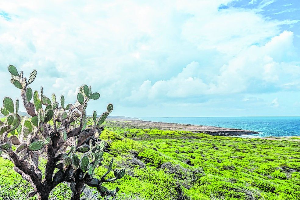 Wandern im ­Nationalpark