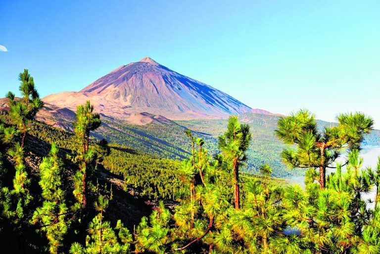 Der El-Teide-Nationalpark gehört definitiv zu den landschaftlichen Höhepunkten von Teneriffa. Fotos: Shutterstock