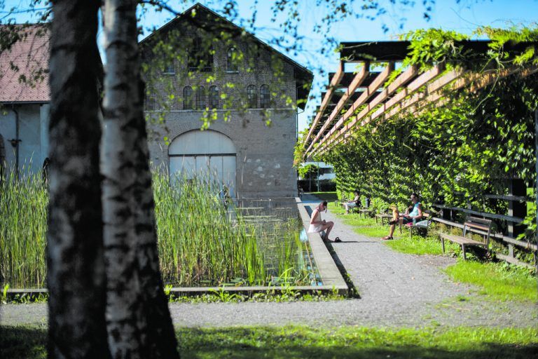Der klargefasste, mit Seerosen und Binsen bepflanzte Wassergarten mit der berankten Pergola bietet besondere Aufenthaltsqualität.