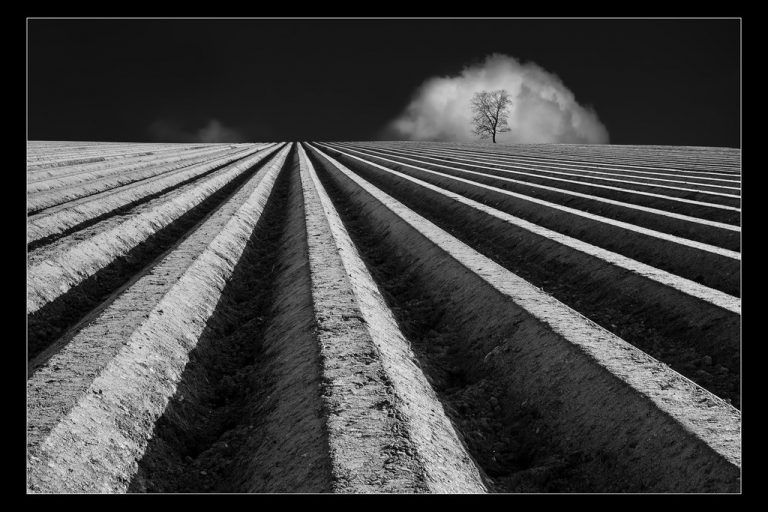 Der Landesmeistertitel in der Schwarz-Weiß-Fotografie ging an Armin Loacker. Der Fotoclub am Kumma dominierte in dieser Kategorie die Meisterschaft. Armin Loacker