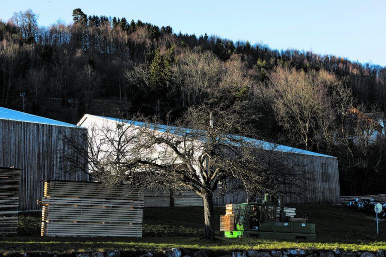Der Name ist Programm: Die dichten Wälder reichen in Hinterforst bis zu den ersten Häusern. Die Sägerei bezieht ihr gesamtes Holz aus diesen Forstgebieten.