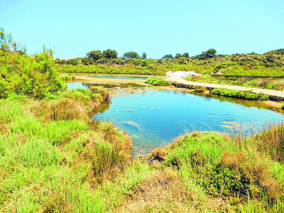 S’Albufera des Grau