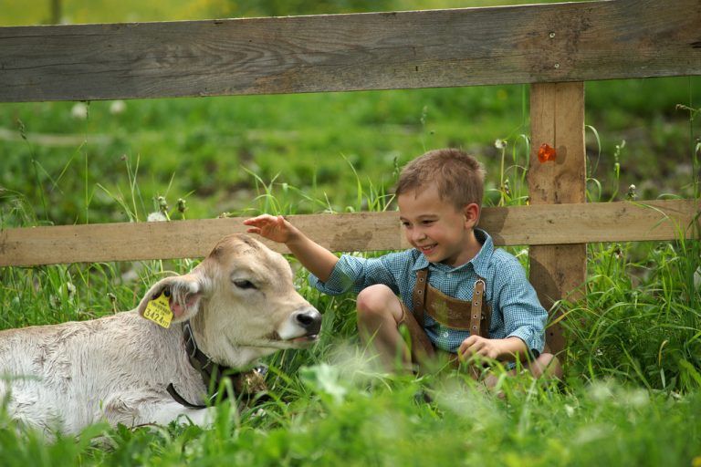 Der Sommerurlaub am Bauernhof wird immer beliebter und ist auch leistbar. Foto: Berchtold