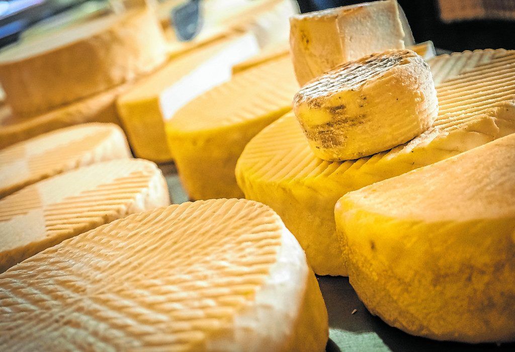 Lokaler Käse direkt von der Farm