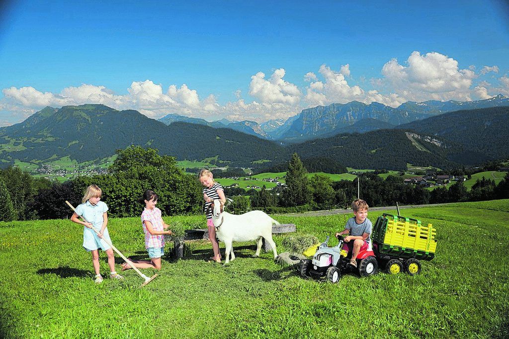 Modellregion in Europa als Ziel