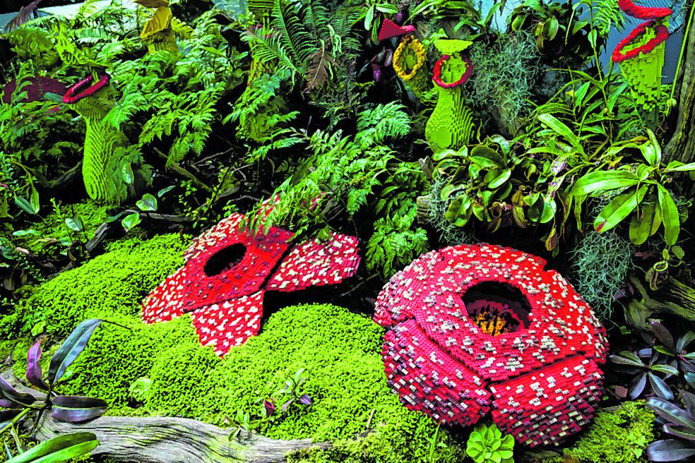 Kerinci-Seblat-Nationalpark