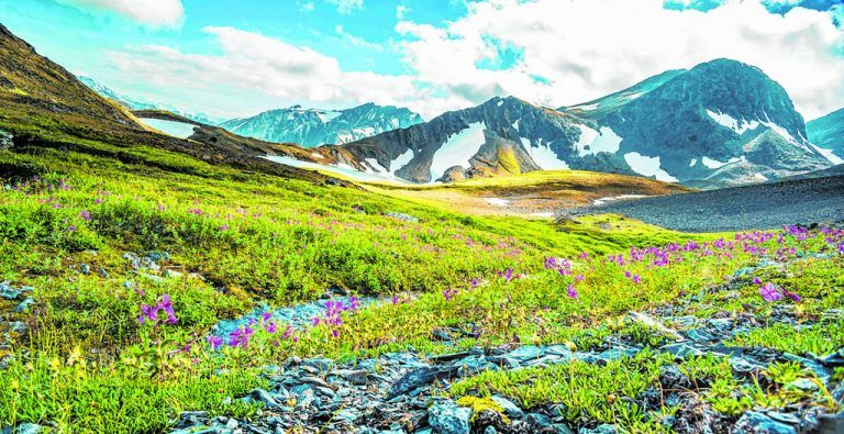 Die einzigartige, wunderschöne Landschaft begeistert Alaska-Urlauber.Fotos: shutterstock
