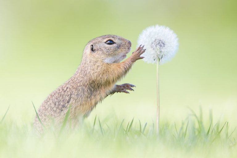 Die Faszination von Fotografie auf Spitzenniveau wird auf den Betrachter übertragen. Perdita Petzl