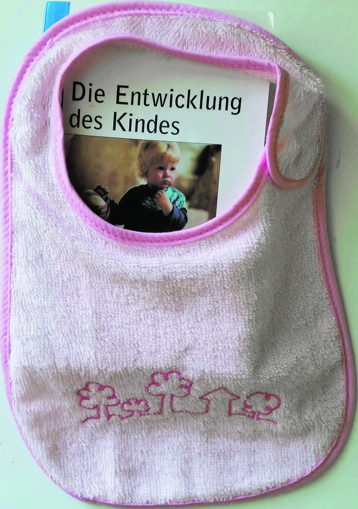Die Praktika und Theorieeinheiten an der SOB Bregenz verlaufen parallel. An zwei Tagen wird die Schule besucht und an drei Tagen werden die Praktika absolviert. Während der Ausbildung gibt es auch Blockunterrichtszeiten, bzw. Blockpraktika.