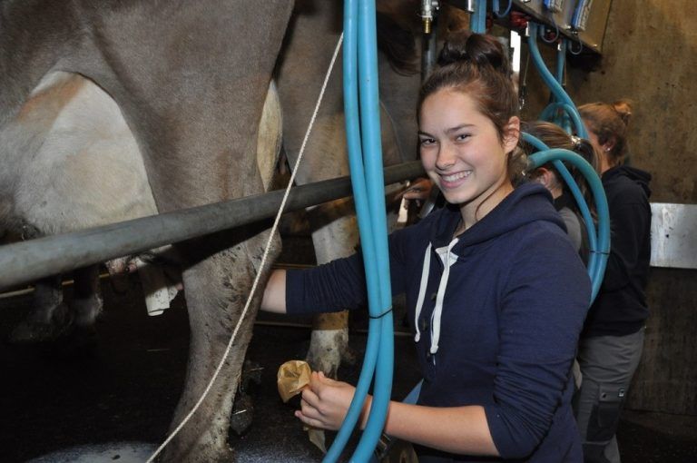 Die sehr gute Mensch-Tier-Beziehung auf dem Rheinhof wurde heuer mit dem Vorarlberger Tierschutzpreis ausgezeichnet. BSBZ/VD