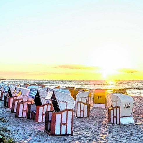 Strandkörbe zum Relaxen