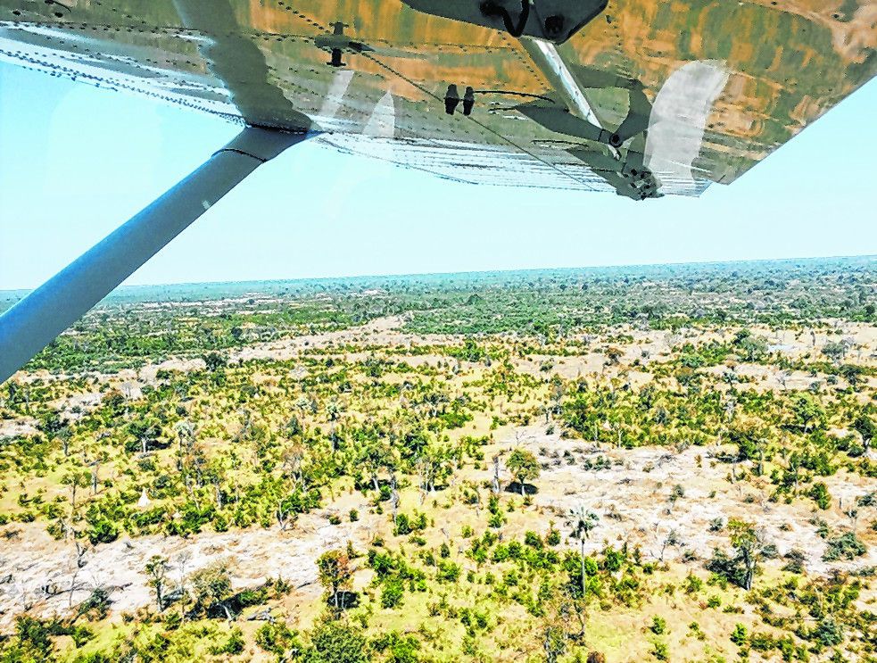 Das Okavangodelta von oben
