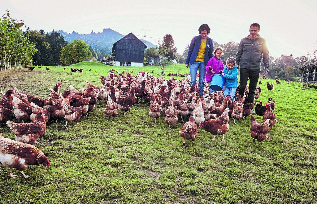 Nachhaltig öko-sozial