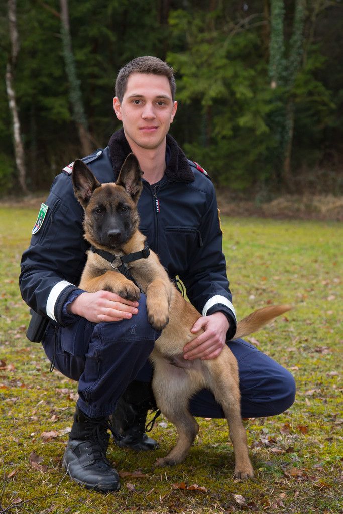 Ein Team für alle Fälle: Polizist Manuel Schmid und Diensthund Karl Oskar. Foto: VN/Hofmeister