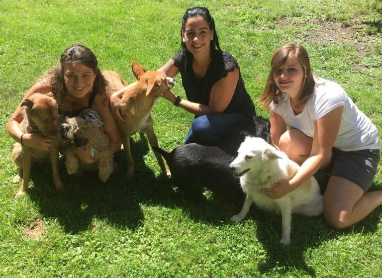 Engel für Hunde
            Ehrenamt. Der Rankweiler Verein mit Obfrau Chiara Knowle betreut und vermittelt vorbildlich Hunde und Katzen.