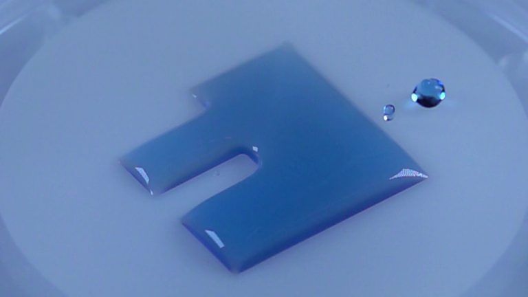 FH-Logo bestehend aus Wasser: Die Oberfläche wurde so verändert, dass Wasser nur bestimmte Bereiche benetzt. Die umliegende Oberfläche lässt Wasser sofort abperlen. FH