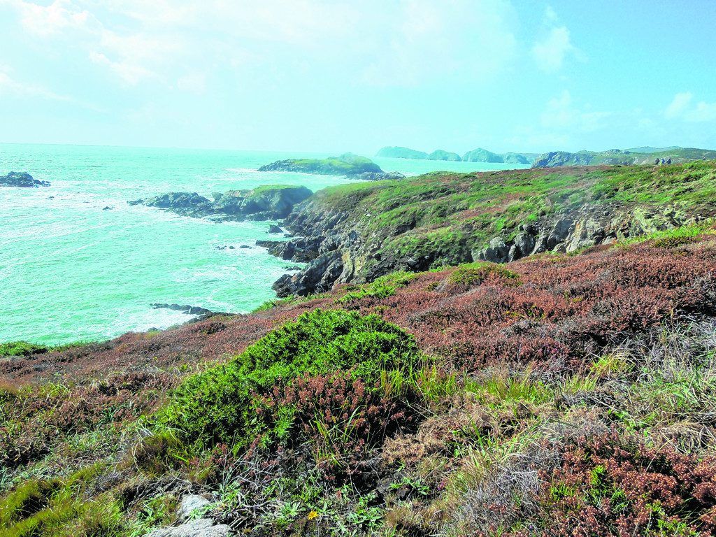 Wales: Wo das Abenteuer beginnt