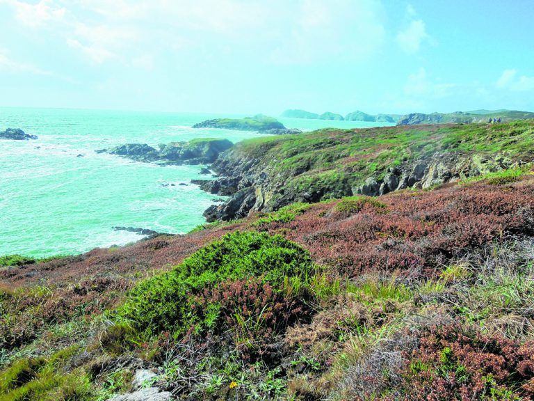 Wales: Wo das Abenteuer beginnt