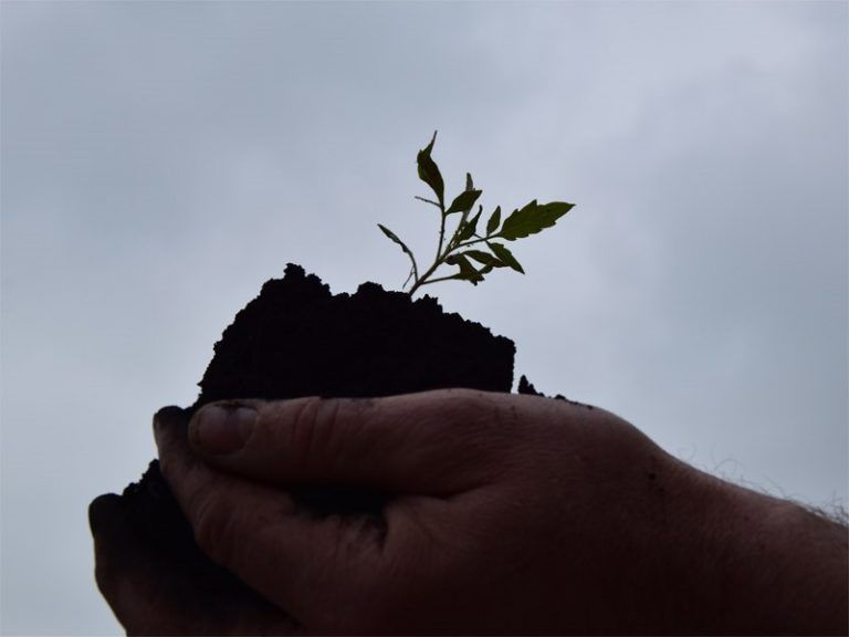 „Der Stoffkreislauf der Natur ist geschlossen“
