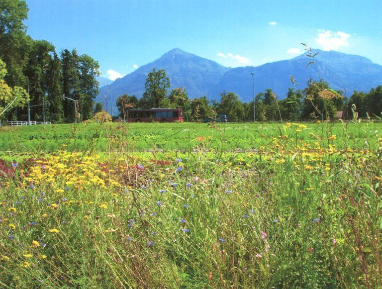 „Was wir essen, muss natürlich sein“