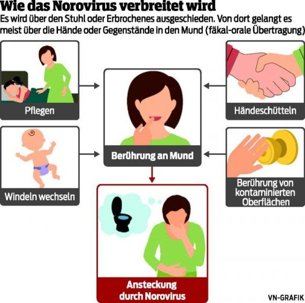 Die Noroviren sind wieder unterwegs - Vorarlberger Nachrichten | VN.at