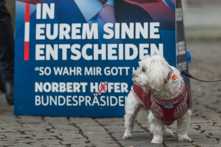 Wahlkampf am ersten Advent