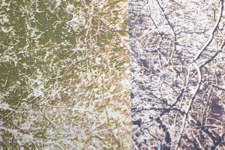 ￼ DAS SOLLTEN SIE NICHT VERPASSEN