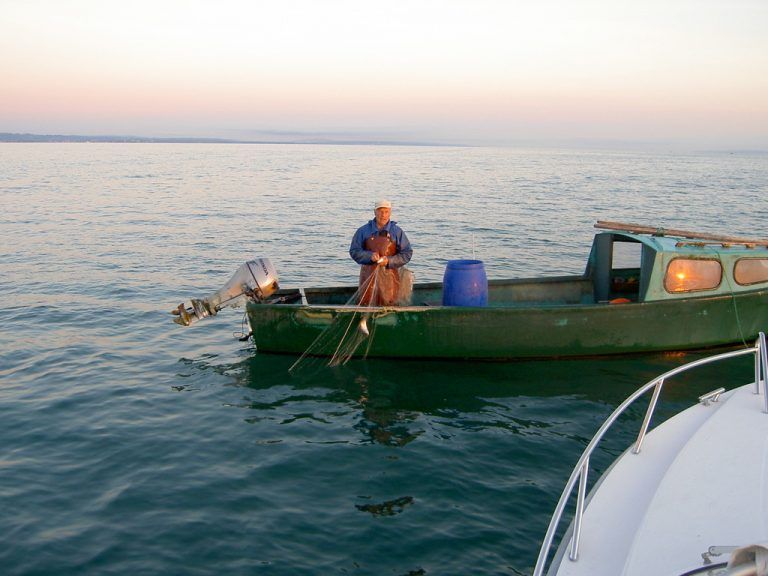 ￼ DAS SOLLTEN SIE NICHT VERPASSEN