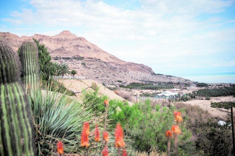 Israel: Vielfältig und gesund
