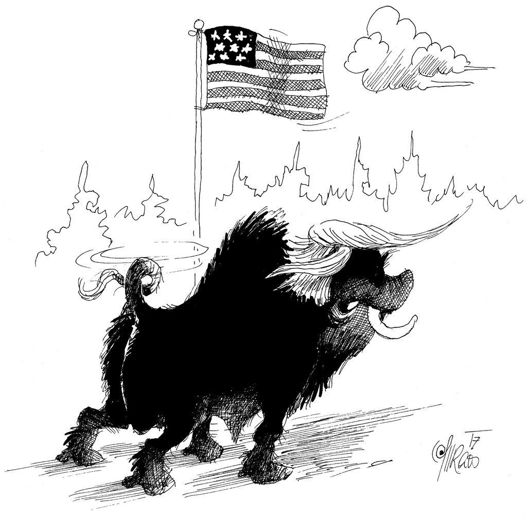 Wildschwein Plage In Den Usa Vorarlberger Nachrichten Vn At