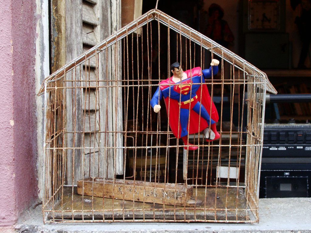 Superman im Vogelkäfig