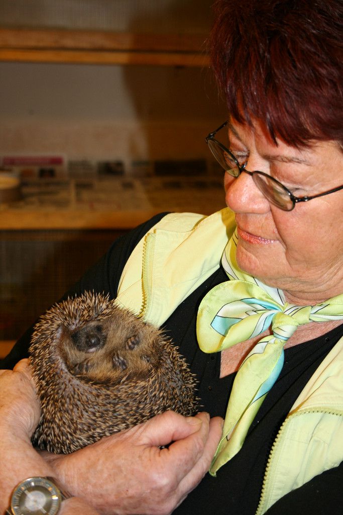  DAS SOLLTEN SIE NICHT VERPASSEN