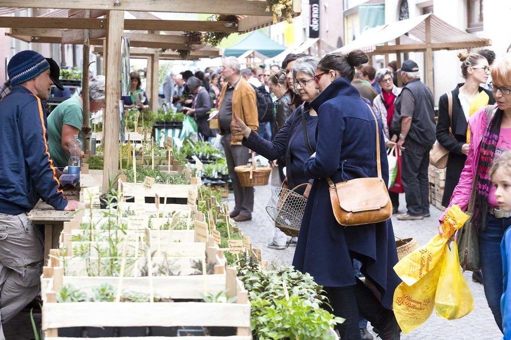 Setzlingsmarkt „erdreich“