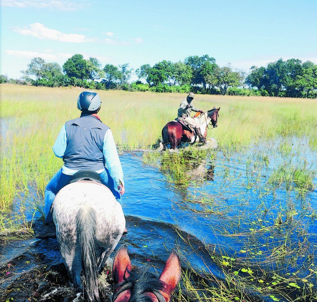 Im Galopp durch’s Okavangodelta
