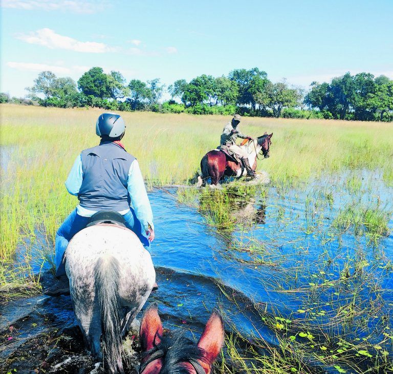 Im Galopp durch’s Okavangodelta