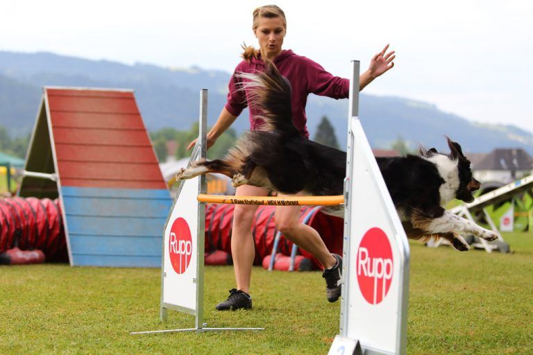 Agility-Cup in Hörbranz