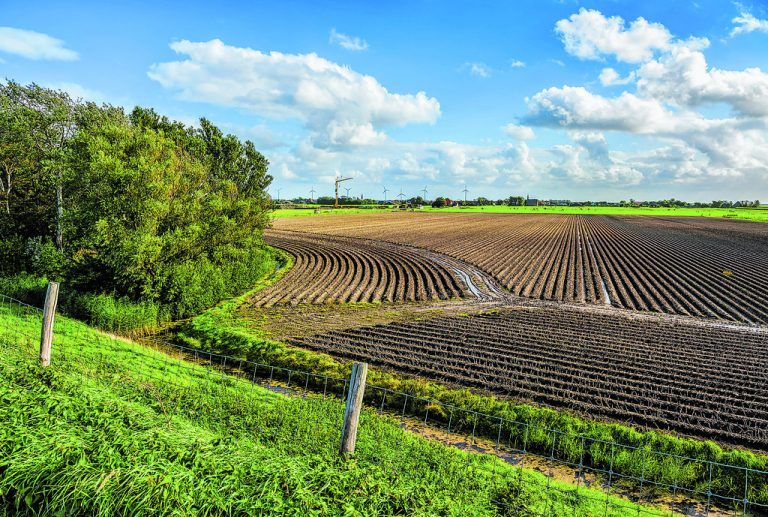 Grunderwerbsteuer berechnen