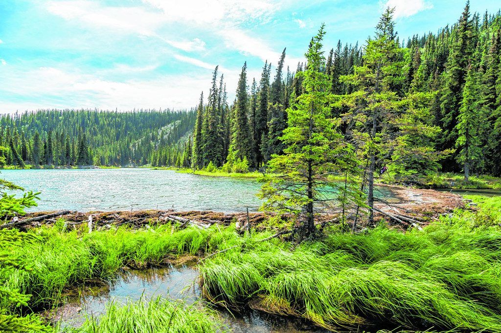 Großes Abenteuer im wilden Alaska