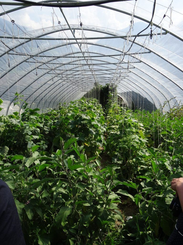 Ein Tiroler Bio-Konzept mit Millionenumsatz