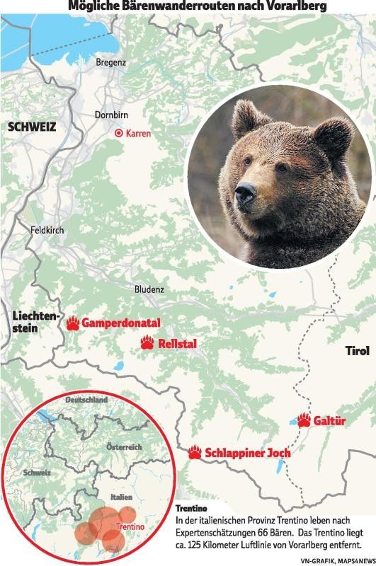 Warten auf die Teenager mit Pranken