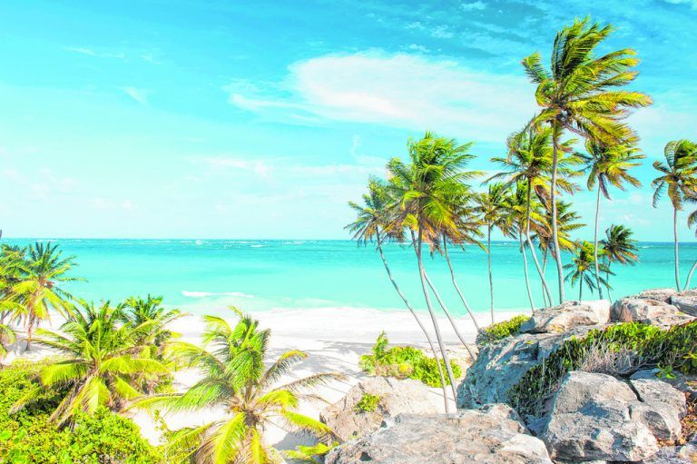 Fliegende Fische auf Barbados