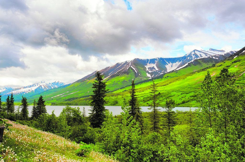 Roadtrip durch Alaska