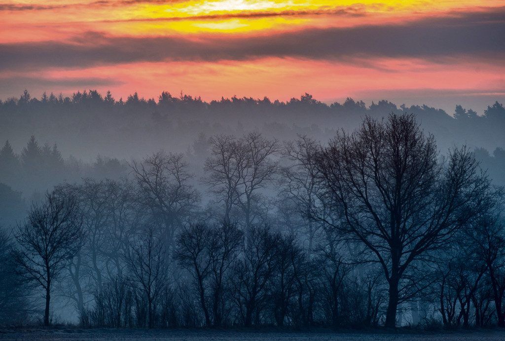 Klimawandel verändert die Schweizer Wälder