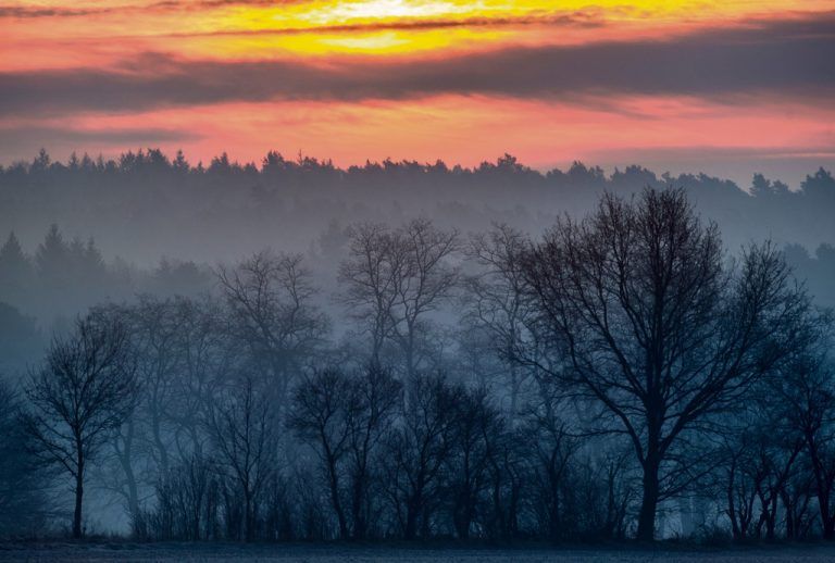 Forscher rechnen damit, dass in den tiefer gelegenen Bergwäldern mit der Verschiebung der Vegetationsgrenze anstelle von Nadelbäumen in Zukunft vermehrt Laubbäume wachsen werden. Foto: APA