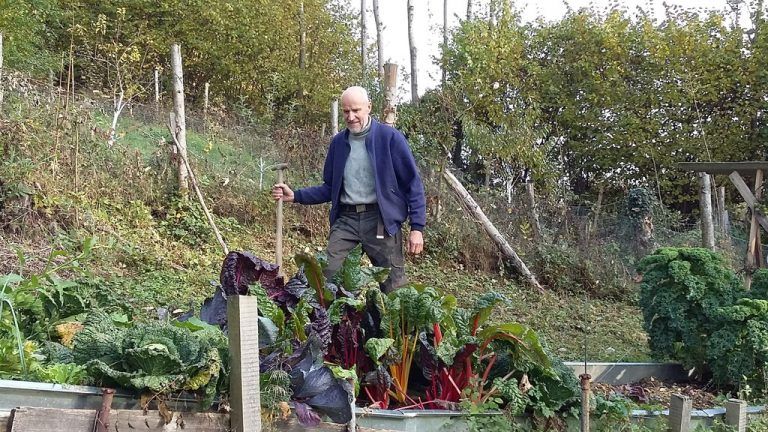 Fritz Trippolt: „Am Waldrand erfreut uns mittlerweile ein erstaunlich ertragreicher Gemüse- und Obstgarten. Unser Ziel ist die Rundum-Selbstversorgung im Naturkreislauf mit Pflanzen und Tieren. Wir sind schon sehr weit.“