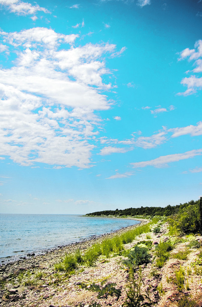 Früher war die Insel aufgrund ihrer Nähe zu Finnland und Schweden Sperrgebiet. Die Natur hat davon profitiert. shutterstock (5)
